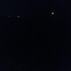 スルメ1杯！槍烏賊2杯！