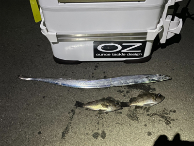 メバリングのはずが…