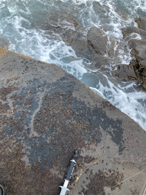 爆風サラシのヒラスズキ