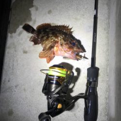 ジグヘッドゲーム