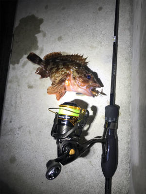 ジグヘッドゲーム