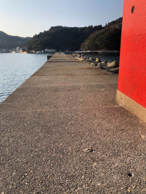 冬エギング、ヤリイカに挑戦