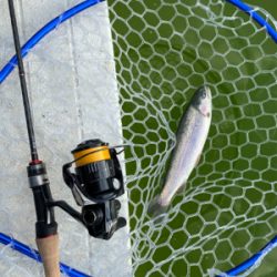 服部緑地　そろそろ数釣りには水温限界かも