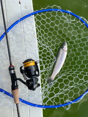 服部緑地　そろそろ数釣りには水温限界かも