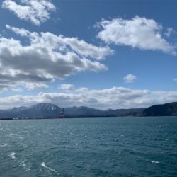 暴風ショアジギ