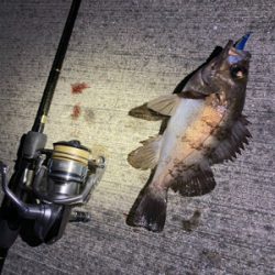 テスト明けの至福タイム