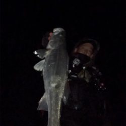 怒涛の3連続ヒット！