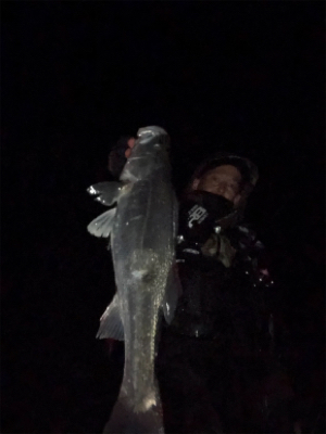 怒涛の3連続ヒット！