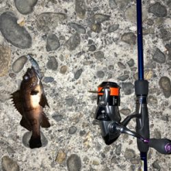 仕事終わりにサクッと