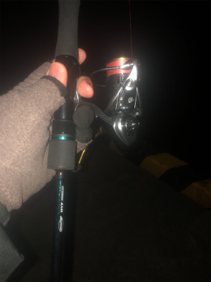 エギング 初ミミイカ