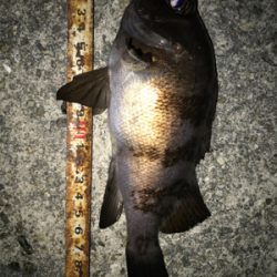 2021ライトゲーム第5戦