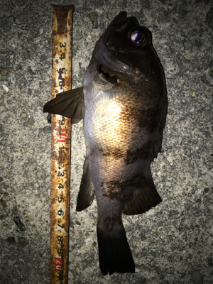 2021ライトゲーム第5戦