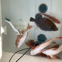 真冬のマイボート釣行