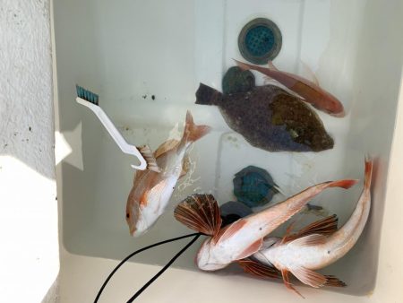 真冬のマイボート釣行