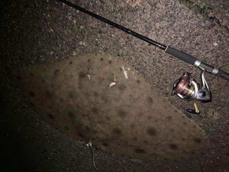 ライトゲーム&ボトム泳がせ！！