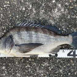 イチノ兄弟、釣果！