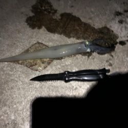 気温、風、最高