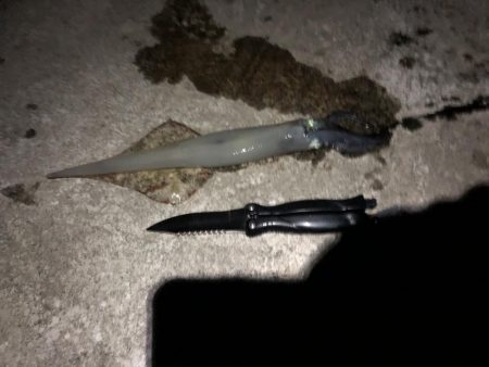 気温、風、最高