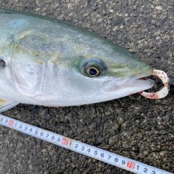 大雪の堤防でもヘッポコジャーク！