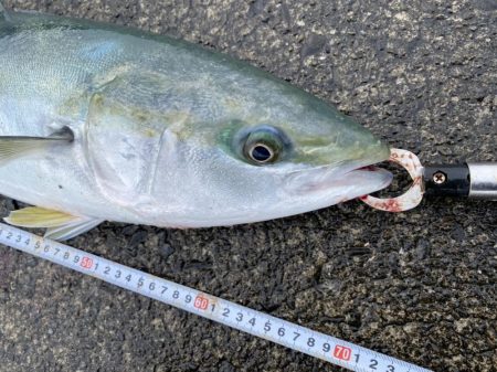 大雪の堤防でもヘッポコジャーク！