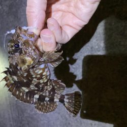 暖かかったので