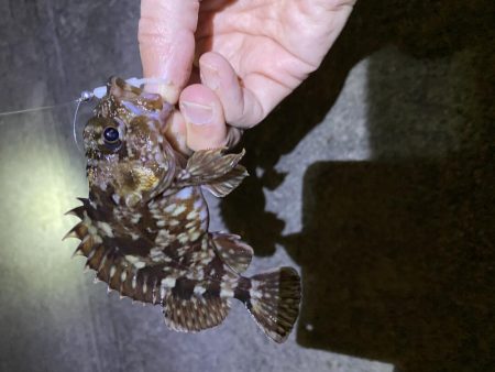 暖かかったので