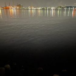 21時　メバリング