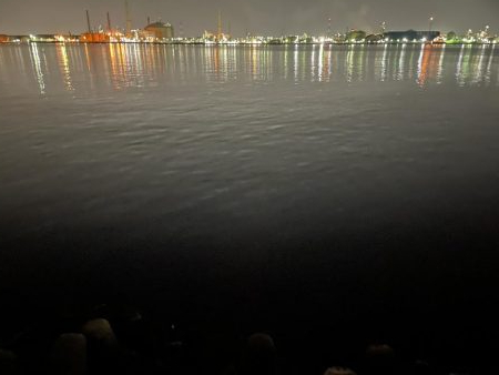 21時　メバリング