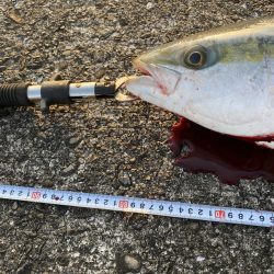 ヘッポコジャークでポコポコブリブリ！