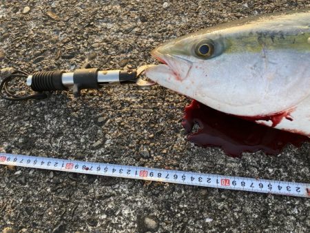 ヘッポコジャークでポコポコブリブリ！