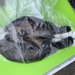 メバリング楽しい〜