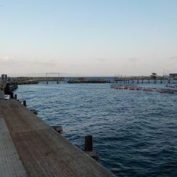 春よこい。まだ寒い