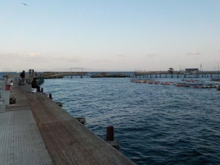 春よこい。まだ寒い