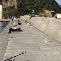 シャアジギング