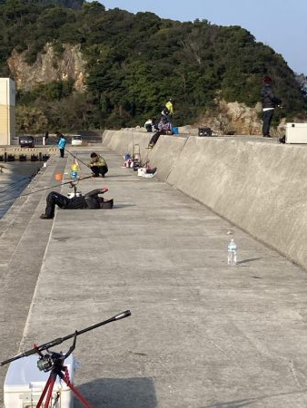 シャアジギング