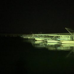 久々の投稿だ!(メバルプラッキング)