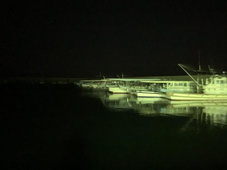 久々の投稿だ!(メバルプラッキング)