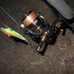 狙いはディープエリア。