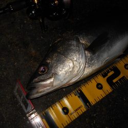 爆風で不利…。