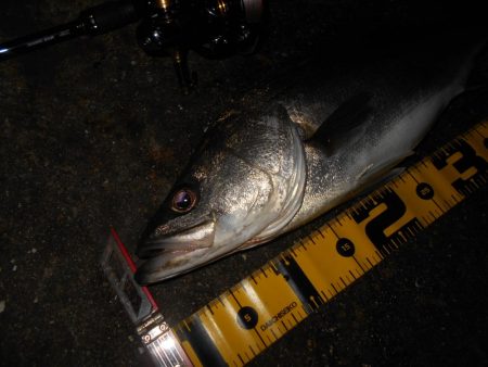 爆風で不利…。