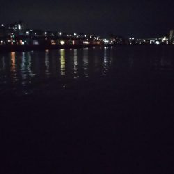 今宵もガシリング