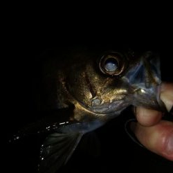 暖かく風も無いので