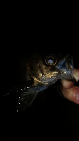 暖かく風も無いので