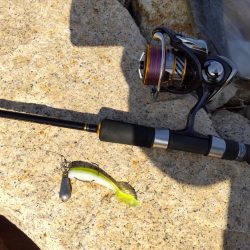 フラットフィッシュゲームNo.8