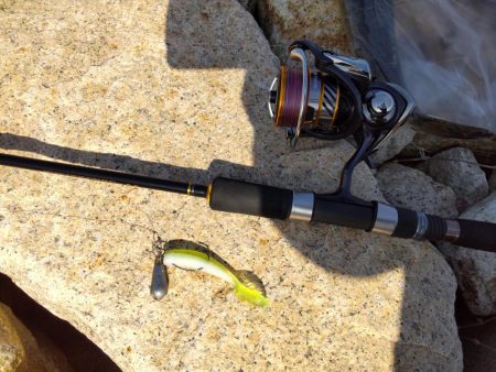 フラットフィッシュゲームNo.8