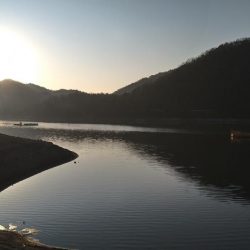 1年ぶりのワカサギ