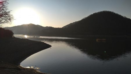 1年ぶりのワカサギ