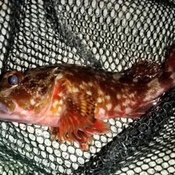 いい感じの流れ