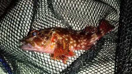 いい感じの流れ