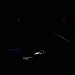 毎度です。人生初ヤリイカ釣り。